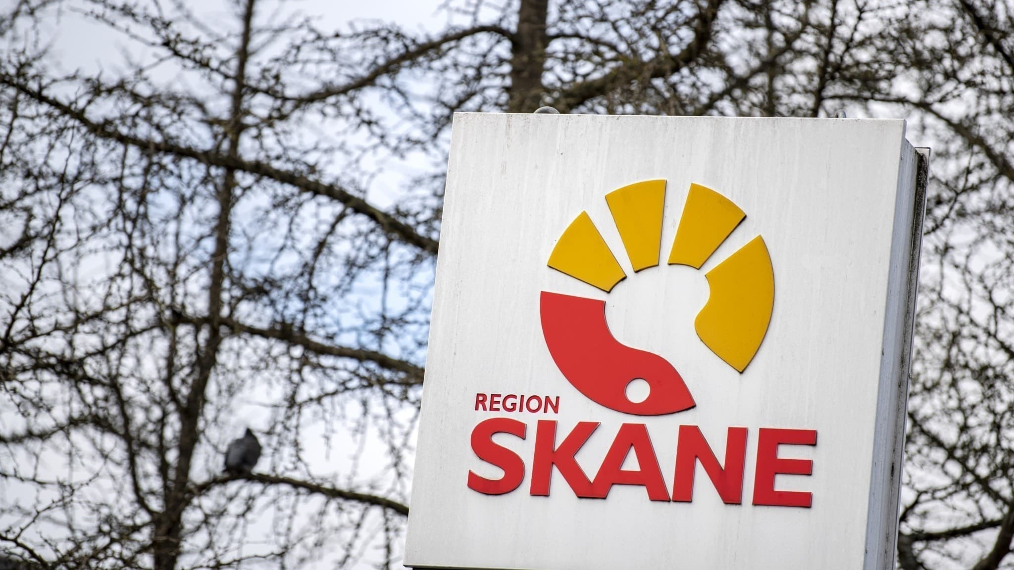 Skylt med Region Skånes logotyp, en stiliserad röd och gul sol, mot bakgrund av nakna trädgrenar och molnig himmel. Skylten symboliserar regionens verksamhet och ekonomi.