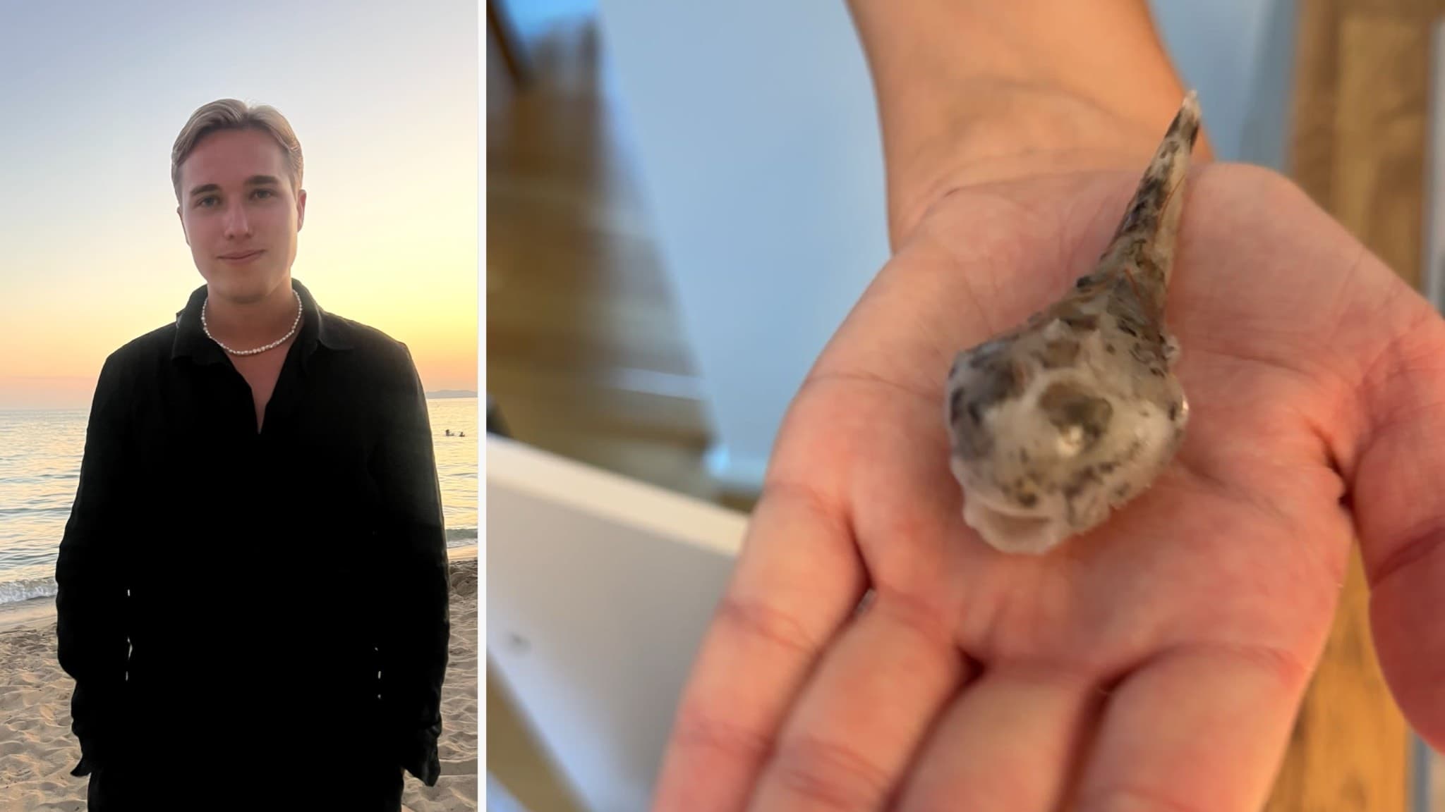Calle Winnhed står i svart skjorta till höger i en splitbild. Till vänster ses en liten fisk med rund kropp och små fenor visas upp i Calle Winnheds hand efter ett räkinköp. Fisken är gråaktig och har ett unikt utseende. 
