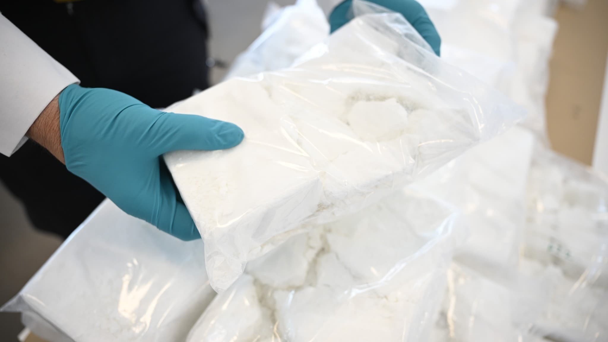 Bild på flera genomskinliga plastpåsar fyllda med kokain, hållna av en person med blåa skyddshandskar. Beslaget är kopplat till Helsingborgs hamn, som pekas ut som inkörsport för kokain till Sverige.Genrebild 