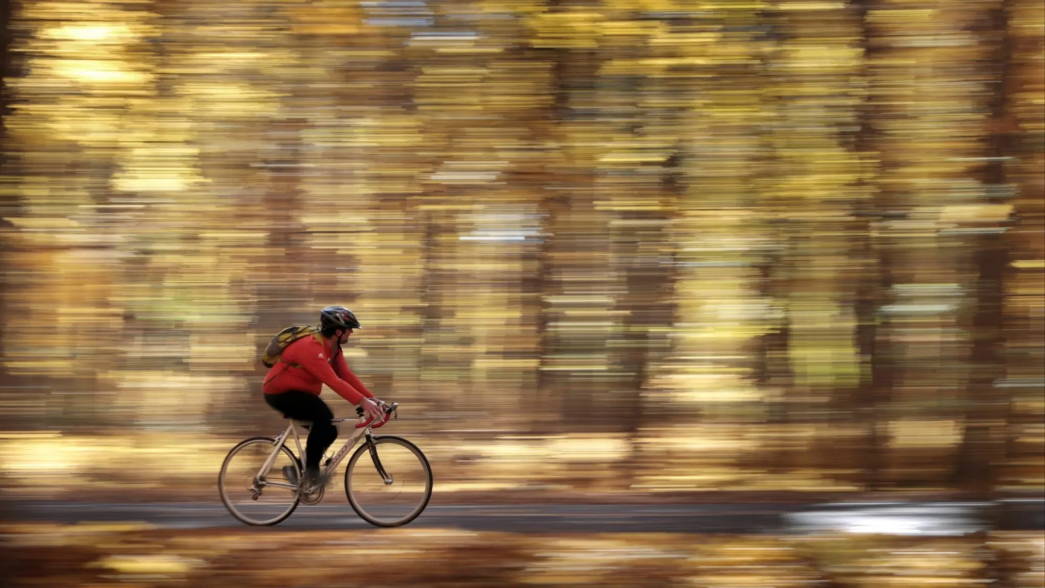 En cyklist i röd jacka och hjälm cyklar genom en skog med höstfärger.
