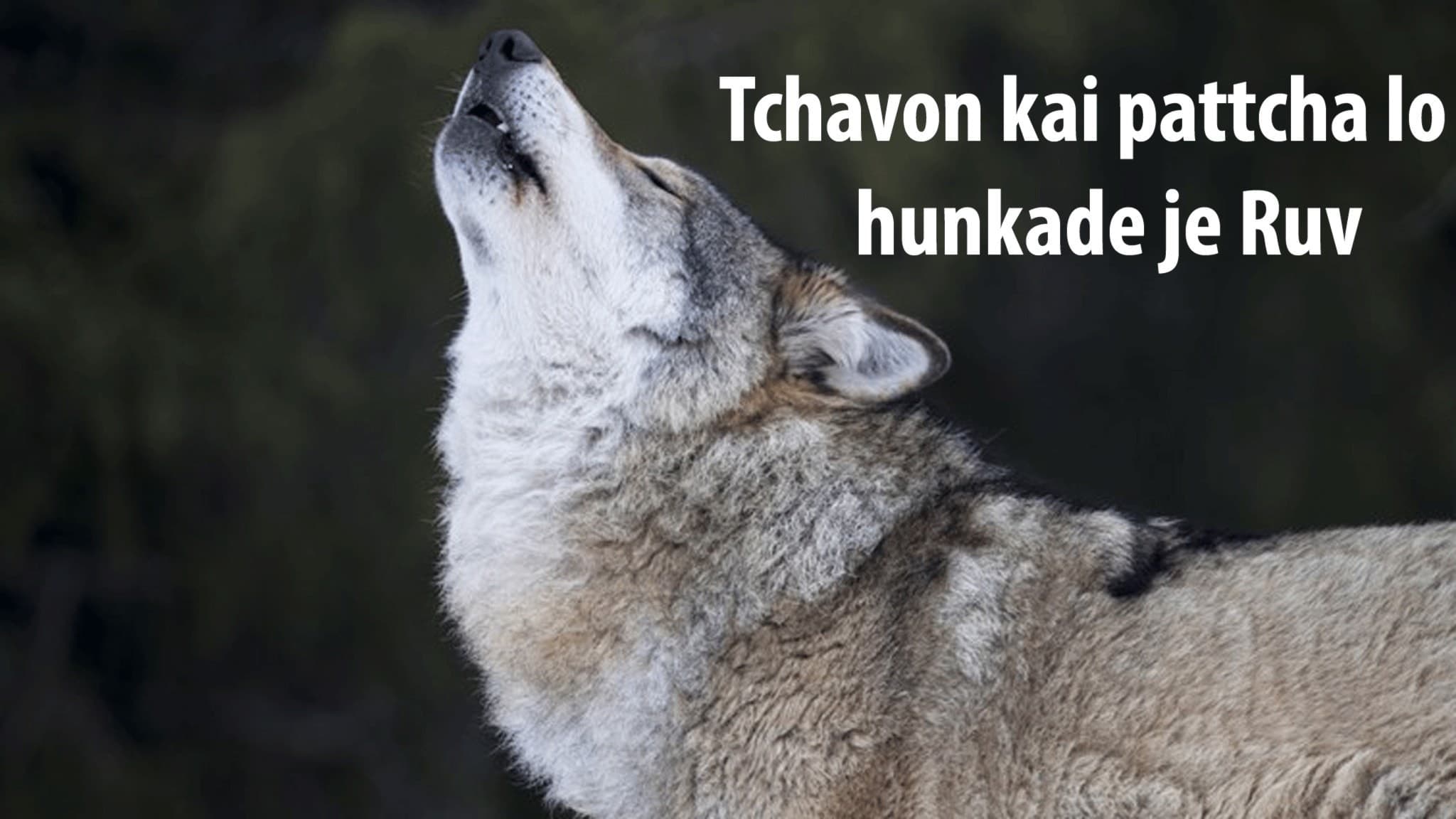Tchavon kai pattcha lo hunkade je Ruv