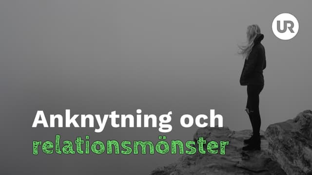Anknytning