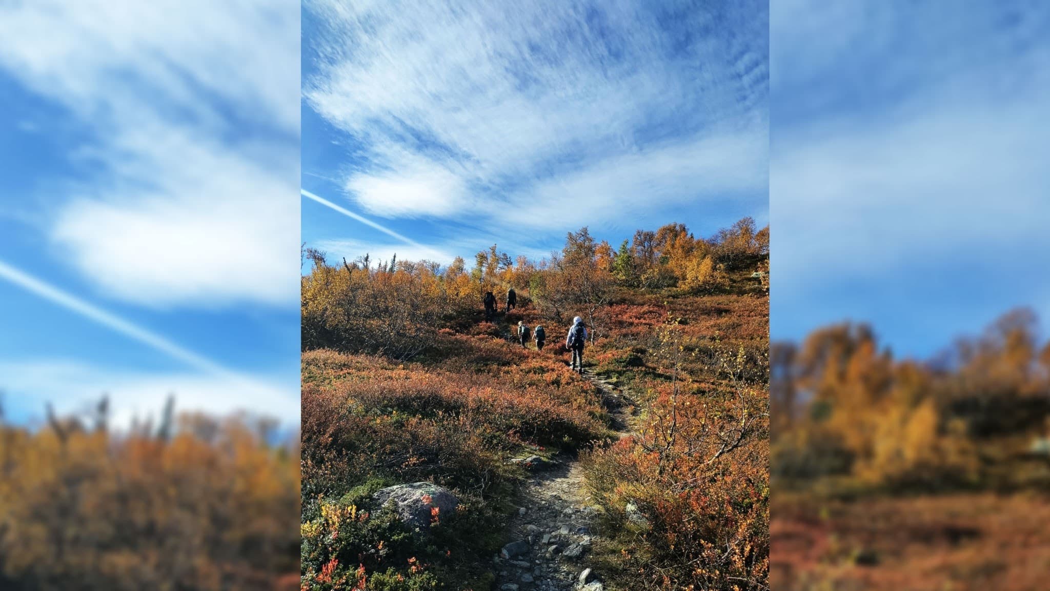 En höstig bergsluttning med färgglada buskar i orange och rött. Blå himmel med tunna moln i bakgrunden. En smal stig leder uppåt, där människor vandrar.