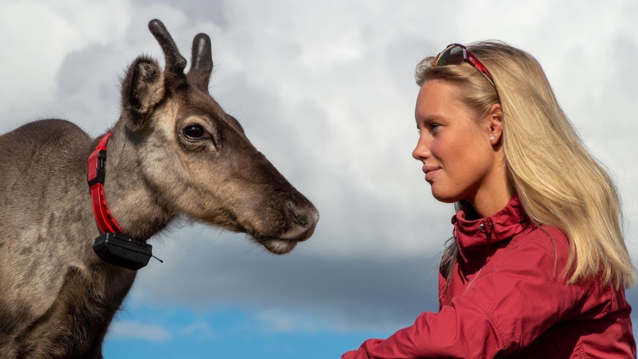 En blond tjej som sitter bredvid en ren mot en blå himmel