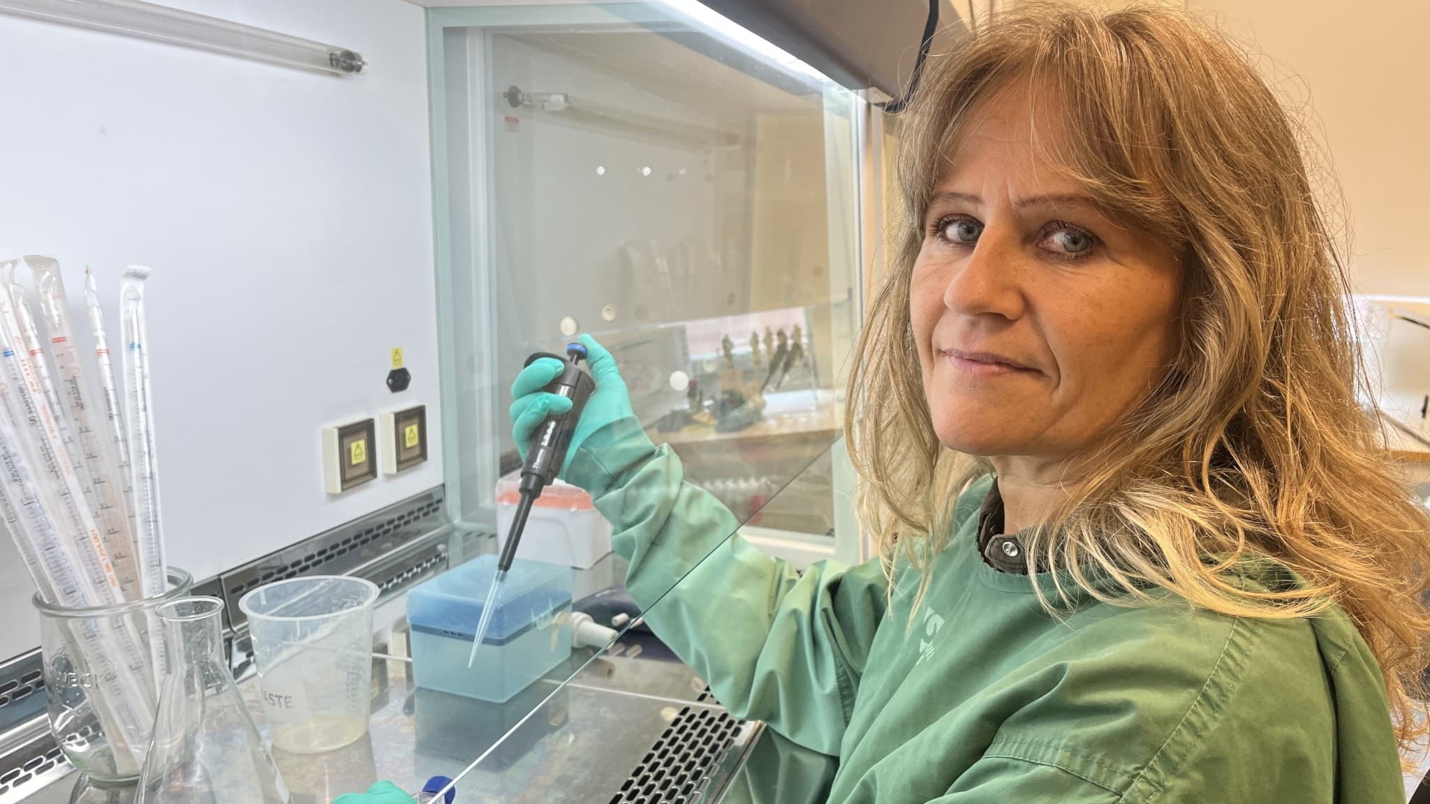 Heléne Lindholm, forskare inom biovetenskap vid Högskolan i Skövde, arbetar vid ett laboratorium klädd i gröna skyddskläder och använder en pipett vid ett dragskåp.